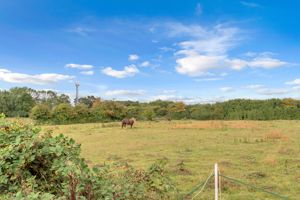 Photo 36- click for photo gallery